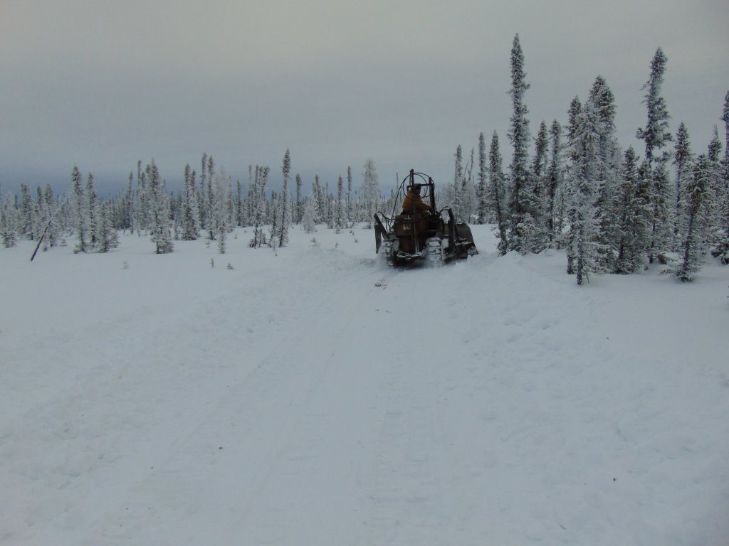 less snow muskeg